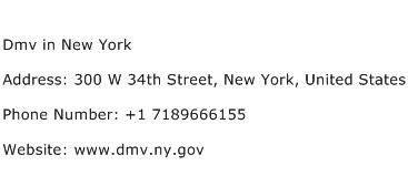 Dmv in New York Address Contact Number