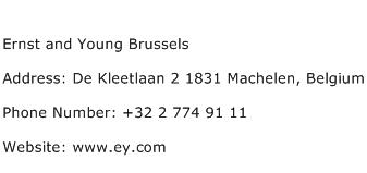 Ernst and Young Brussels Address Contact Number