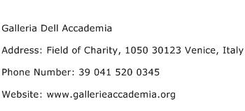 Galleria Dell Accademia Address Contact Number