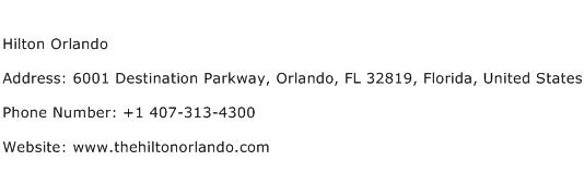Hilton Orlando Address Contact Number