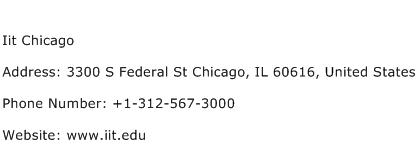 Iit Chicago Address Contact Number
