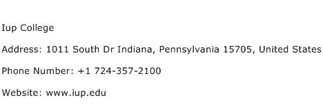 Iup College Address Contact Number