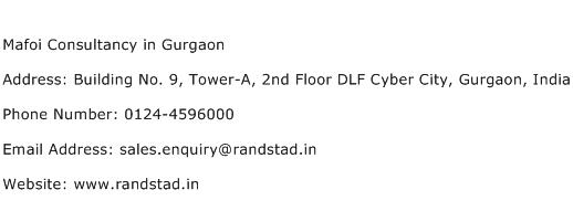 Mafoi Consultancy in Gurgaon Address Contact Number