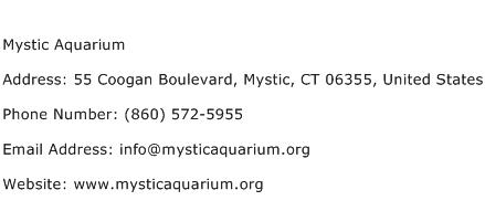 Mystic Aquarium Address Contact Number