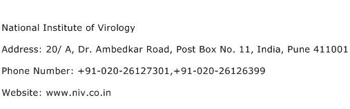 National Institute of Virology Address Contact Number